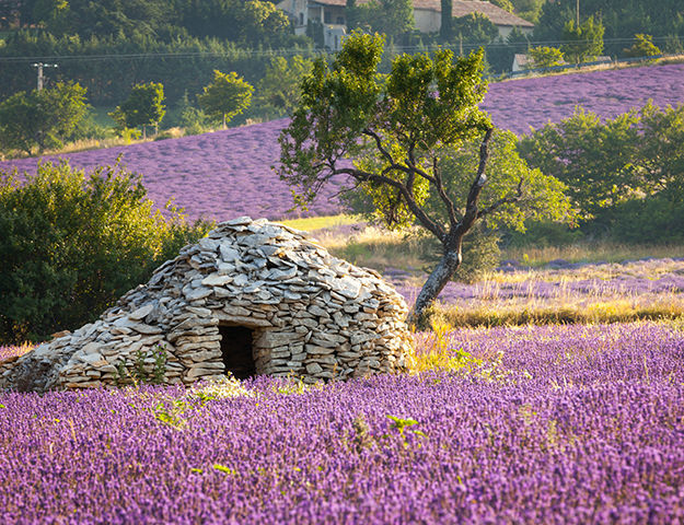 Le Mas des Herbes Blanches Hôtel & Spa - Le luberon
