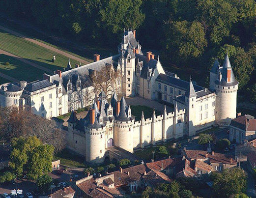 Fram, des séjours toutes options - Château de Dissay