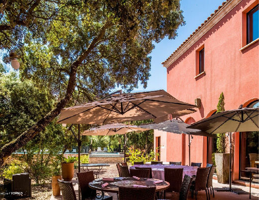 Chant des cigales et ensoleillement riment avec Languedoc Roussillon - Disini Luxury Hotel