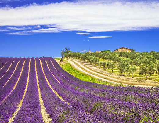 Thalasso Provence Côte d’Azur : coté Sud - Mas de la Crémaillère